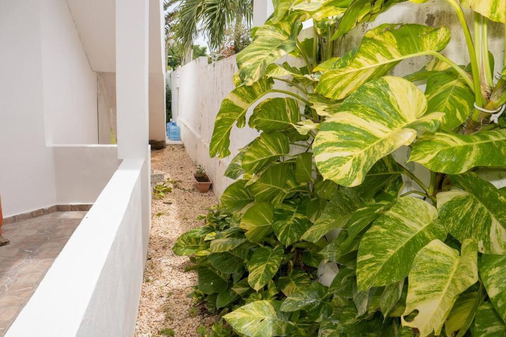 Villa Caribe Bayahibe Kültér fotó