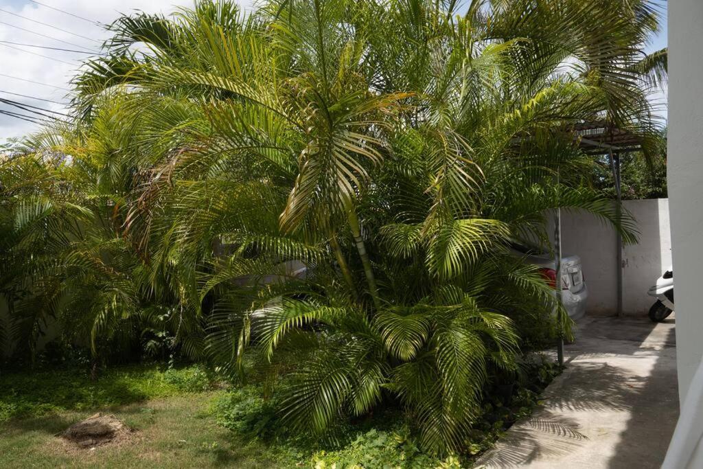Villa Caribe Bayahibe Kültér fotó