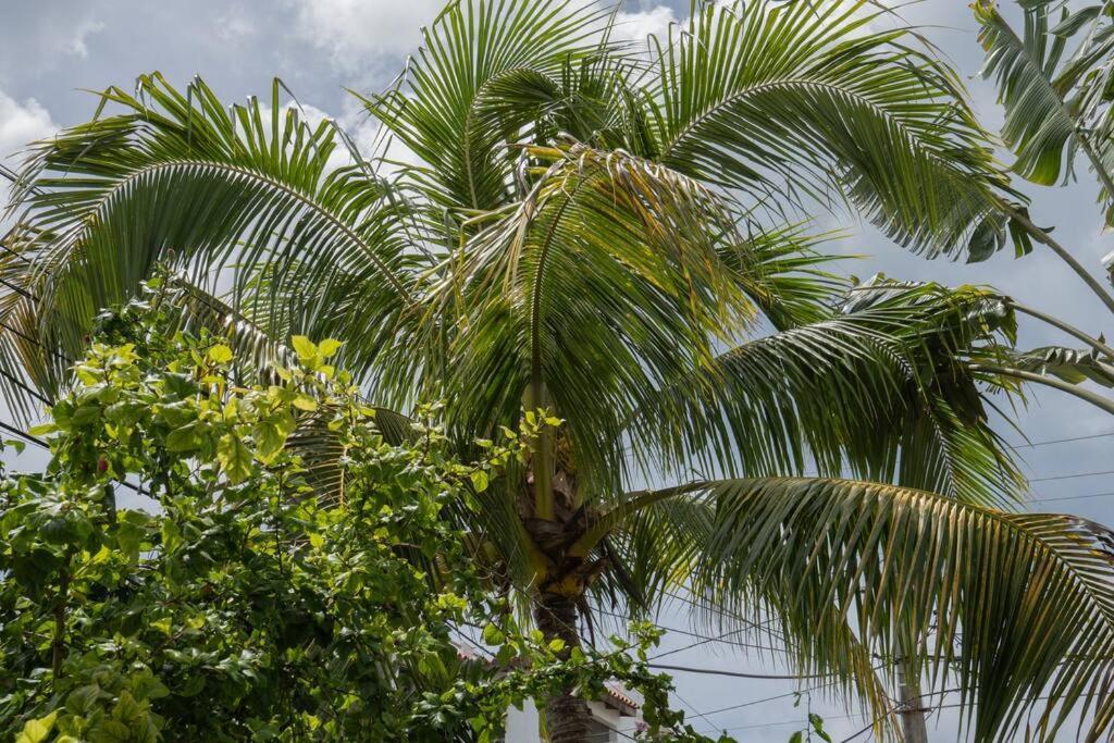 Villa Caribe Bayahibe Kültér fotó